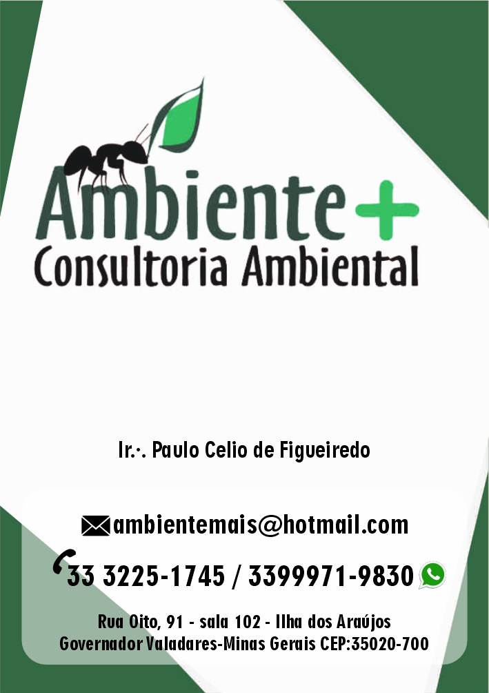 Ambiente Mais Consultoria Ltda