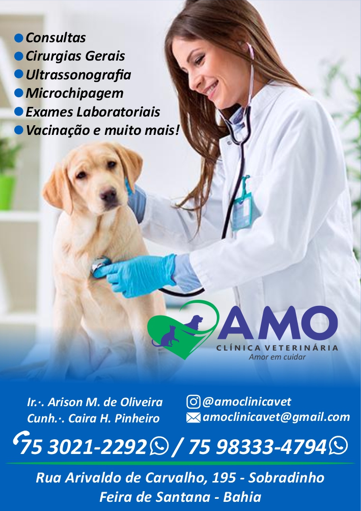 Amo Clinica Veterinária