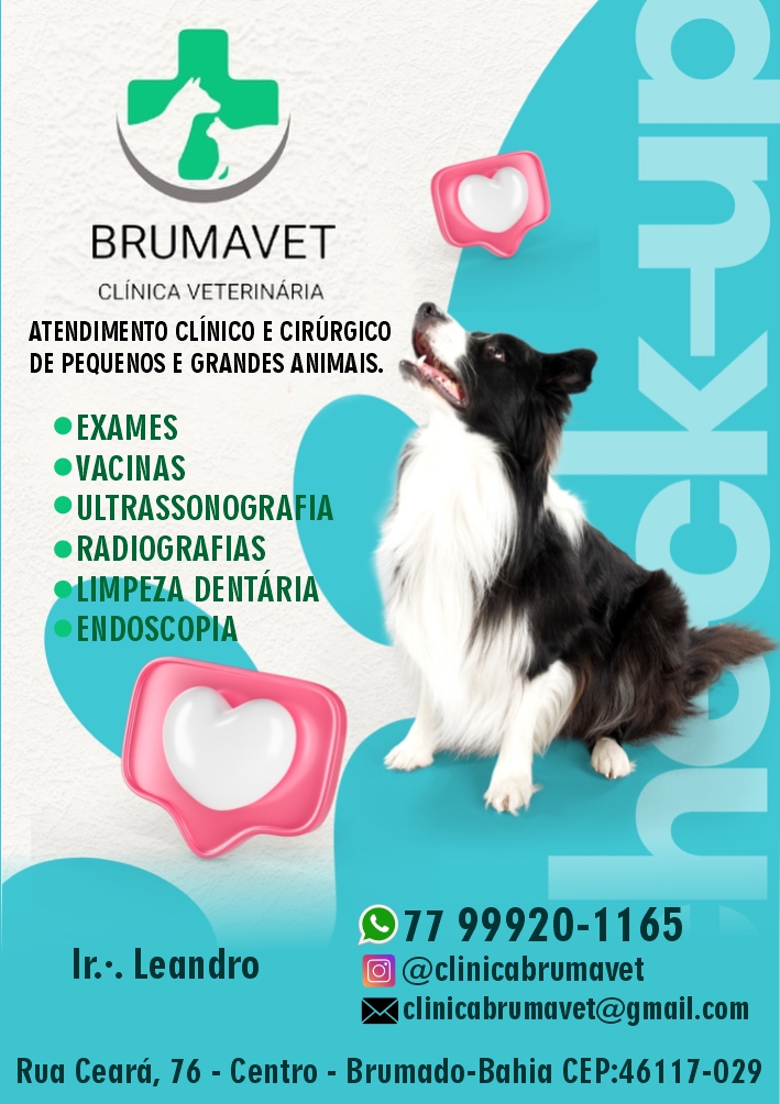 Brumavet