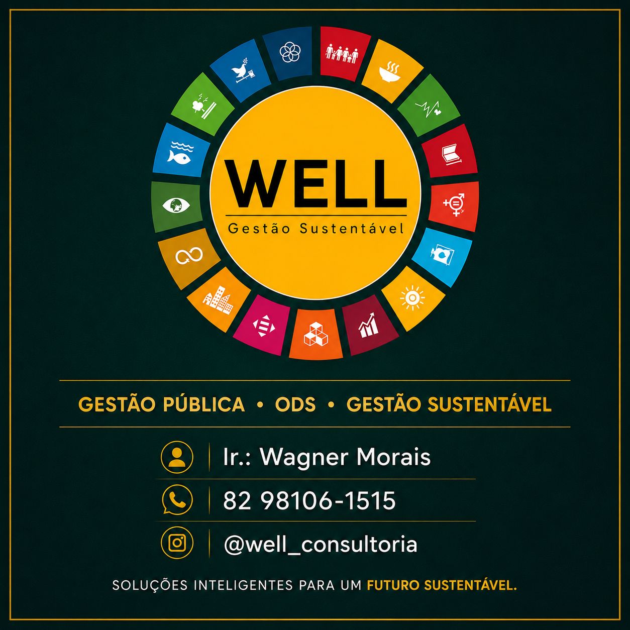 Well Assessoria e Consultoria